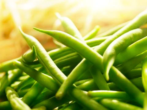 Green beans in bright sunlight Stock Photos