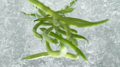 Green Beans Falling into Pot of Boiling Water Stock Footage 271400049