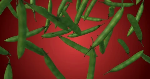 Green beans falling slow motion Stock Footage 107776199