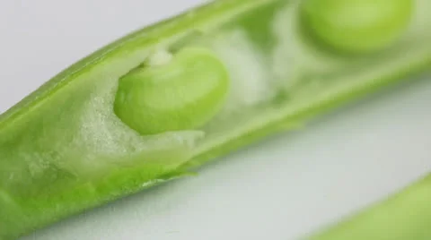 Green Beans Stock Footage 24653468