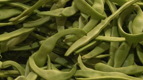Green beans Stock-Footage 160609352