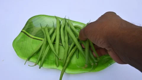 Green beans. Stock Footage 262321532
