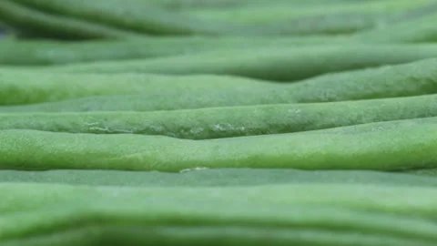 Green beans Stock Footage 289029659
