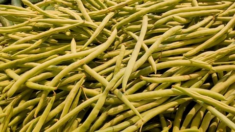 Green beans Video stock 316359026