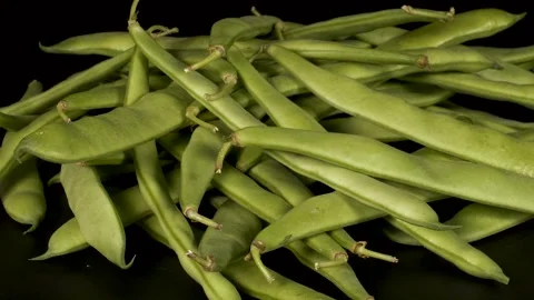 Green Beans Stock Footage 332300588