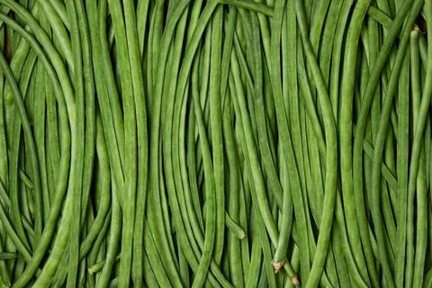 Green beans full screen. close up of green beans Stock Photos