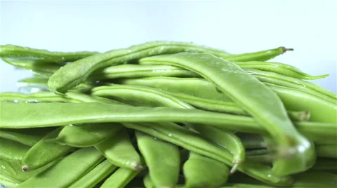 Green Beans isolated rotating on white/blue background Stock Footage 62305061