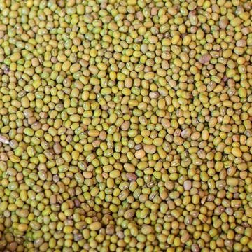 Green beans Mash as a background. Stock Photos