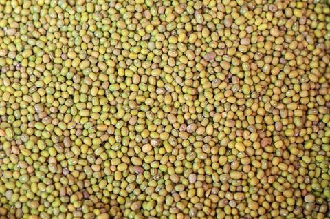 Green beans Mash as a background. Foto stock