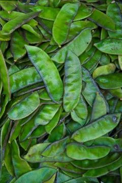 Green beans Stock Photos
