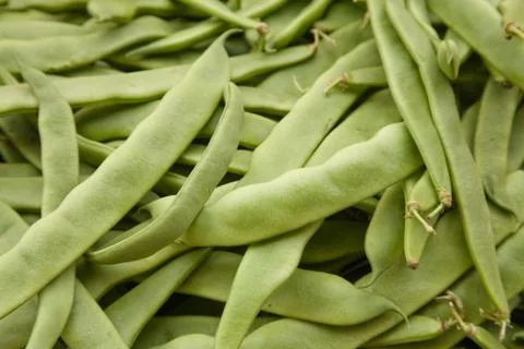 Green beans Stock Photos