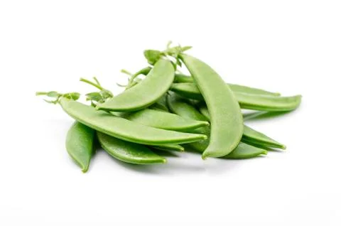 Green beans 写真素材