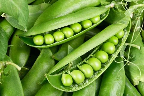 Green beans Foto stock