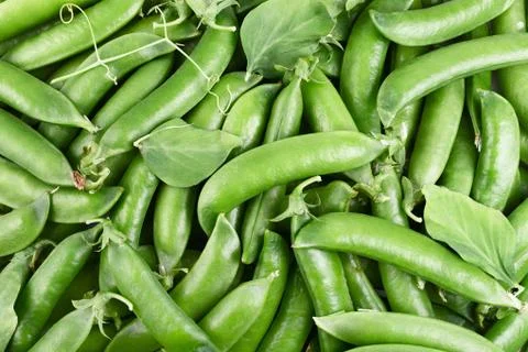 Green beans Stock Photos