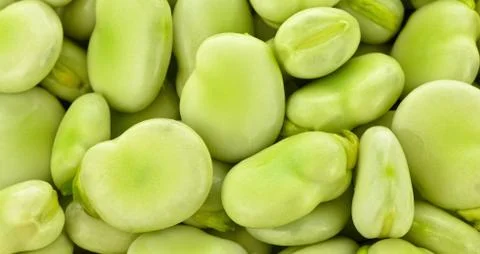 Green beans Stock Photos