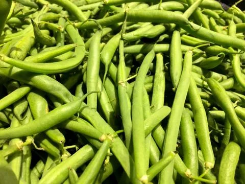 Green Beans Stock Photos