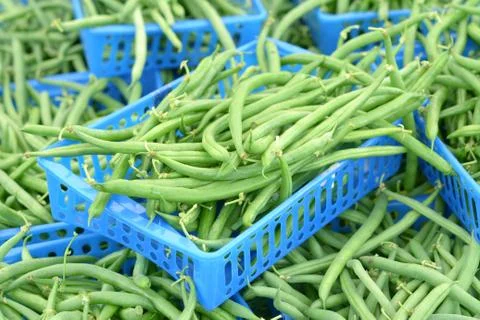 Green beans Stock Photos