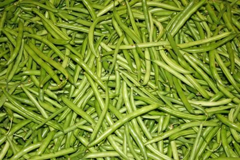 Green Beans Stock-Fotos