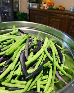 Green beans Stock Photos