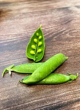 Green beans Stock Photos