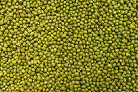 Green beans texture Stock Photos