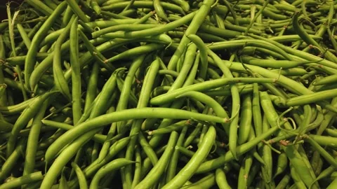 Green beans in top view Stock Footage 205890004
