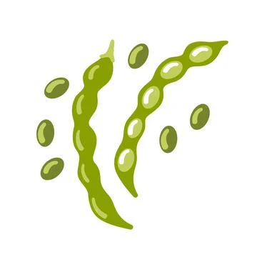 Green beans vector illustration crisp, glossy pods with subtle shading, bright Stock Illustration