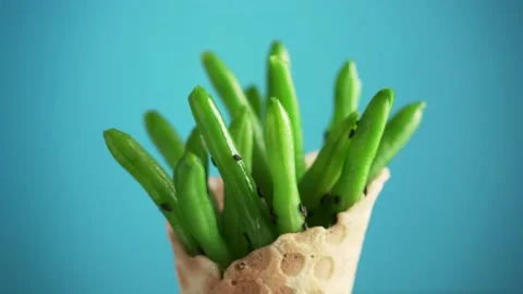 Green beans in a waffle cup rotate on a blue background. Video stock 149469002