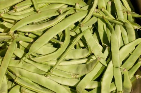 Green Beens Stock Photos