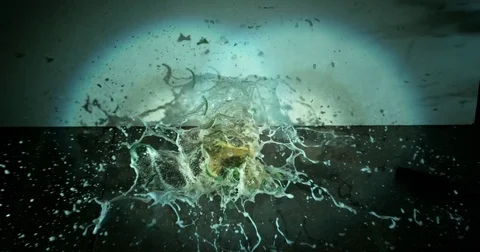 Green Beer Bottle Explodes Closeup Stock Footage 77781584