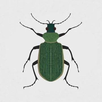 Green beetle , eps10 vector format Illustrazione stock