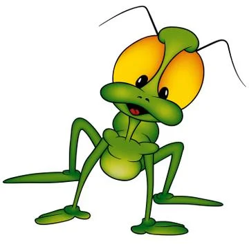 Green Beetle Stock Illustration