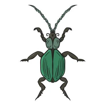 Green beetle. vector illustration. Drawing by hand. Stock Illustration