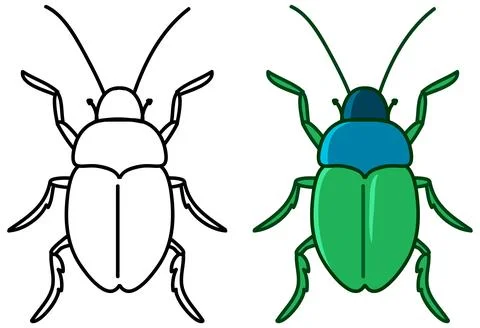Green Beetle Vector Illustration with Outline Coloring Page Stock Illustration