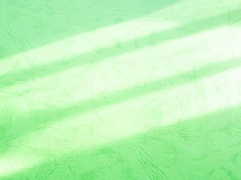 Green Beige Shadow Abstract Background Overlay Leaf Natural blur Cement 写真素材
