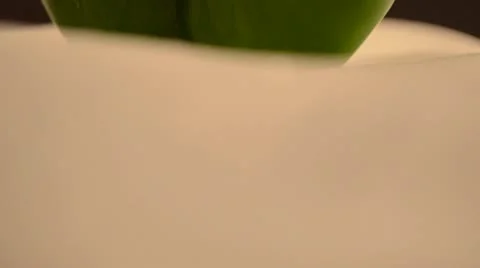 Green Bell Pepper Crane Up Video stock 21896832