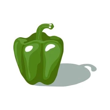 Green bell pepper Stock Illustration