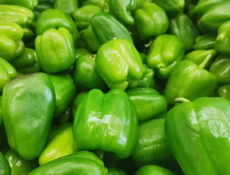Green bell pepper. Stock Photos