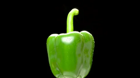 Green Bell Pepper Rotating On Black Background With Water Drops Stock Footage 325562435