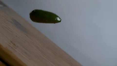 Green bell peppers falling and bouncing over tilt chopping board in slow motion Stock Footage 100007329