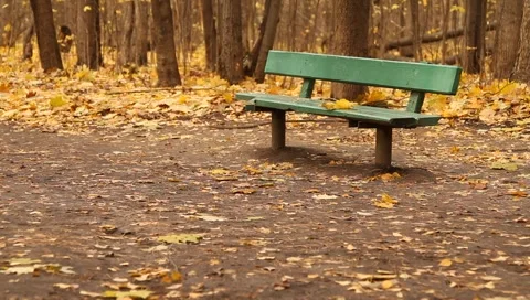 Green bench and leaves falling down in a park in Moscow Stock Footage 4886009