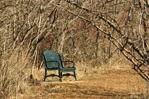 Green Bench in Early Spring Stock Photos