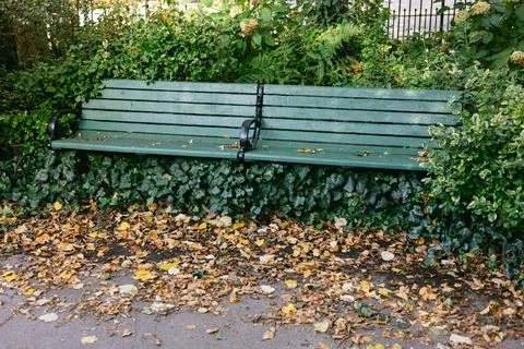 Green bench surrounded by fall leaves and greenery in a quiet park setting Foto stock