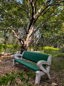 A green bench surrounded by greenery Foto stock