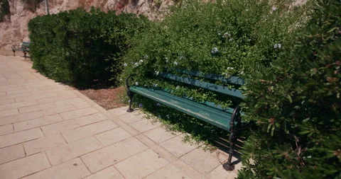 Green bench surrounded by Mediterranean vegetation in Sibenik Croatia Stock Footage 336141099