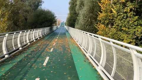 Green bike path and bridge Stock Footage 103620091