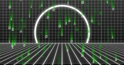 Green binary code and grid patterns over digital tunnel animation Stock Footage 306339645