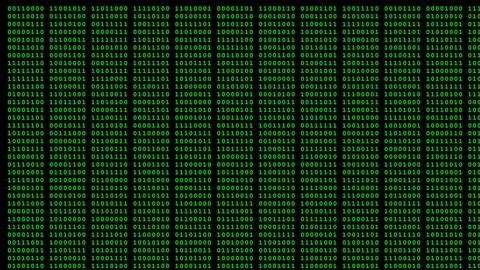 Green Binary Code Matrix Digital Data Rain Animation. 스톡 동영상 347208615