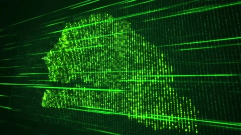Green Binary Digital Mosaic Grid Map Of Senegal Perspective Light Streaks Stock Footage 239056426