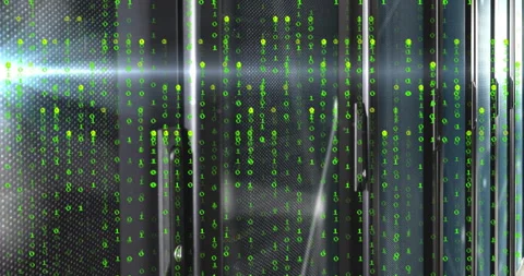 Green binary digits flowing mesh doors starting flare sweeping then network Stock Footage 310140666